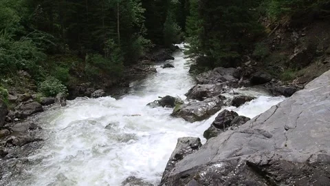 Rapid stream of a mountain river. Stock Footage 98637267