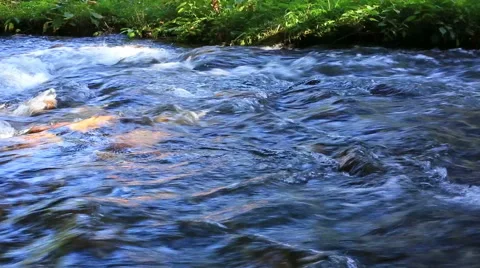 Rapid stream of mountain river. (with sound) Stock Footage 56426351