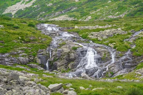 Rapid stream in mountain valley among grassy banks. Small waterfall in green  Stock Photos