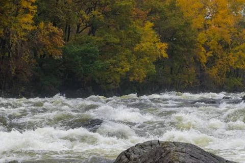 Rapid stream Norway river fall Stock Photos