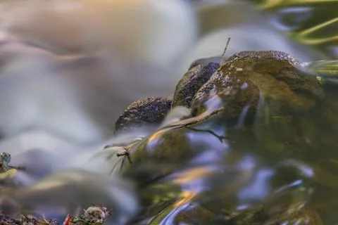 Rapid stream Stock Photos
