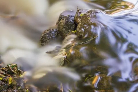 Rapid stream Stock Photos