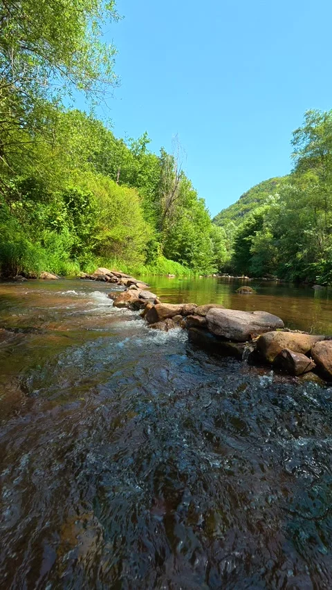Rapid stream rushes over rocks. Temska River Canyon, Vertical 動画素材 345897837