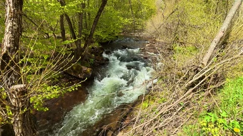 Rapid stream rushes through a green forest setting. Near Tupavica Waterfall Stock-Footage 335531091