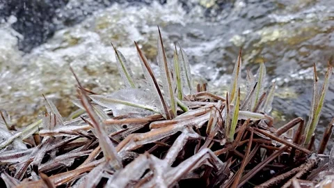 Rapid stream at spring. Stock Footage 246766611