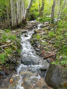 Rapid stream through the forest Stock Photos