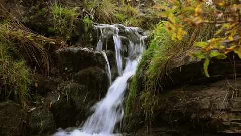 A rapid stream of water flows among the stones. A clean mountain stream near Stock Footage 116888144