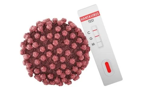 Rapid Test for Hantavirus with Virus Particle, 3D Rendering Stock Illustration