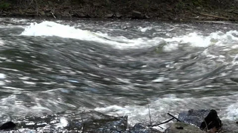 Rapid Water Flow 動画素材 38443207