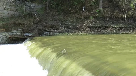 Rapid water flow on the river threshold in the spring Video stock 155567233