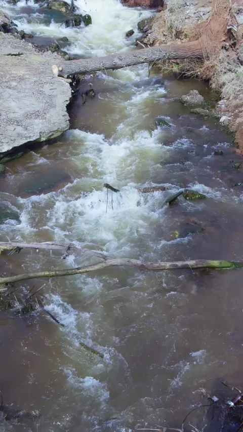 Rapid water flow in a stream, crossed by fallen trees and surrounded by banks Stock Footage 304790558