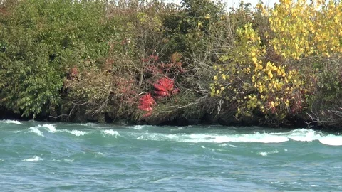 Rapid Water Stock Footage 122105655