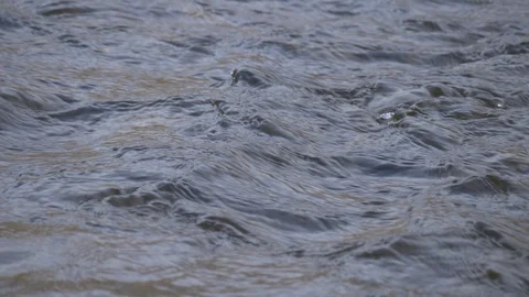 Rapid Water River Flow 4k Stock Footage