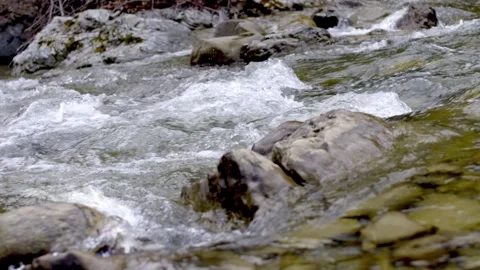 Rapid water in river flowing between stone Stock Footage 254333261
