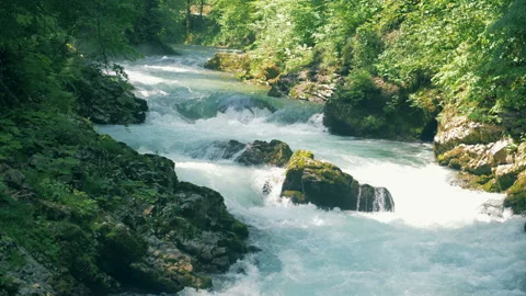 Rapid water spring running through mountainous canyon Video stock 91831009