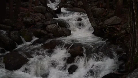 Rapid Water Yosemite Video stock 5787917
