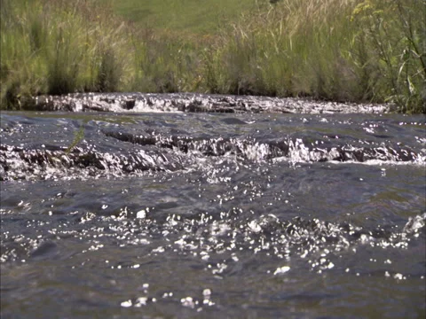 Rapidly flowing water Stock Footage 27344602