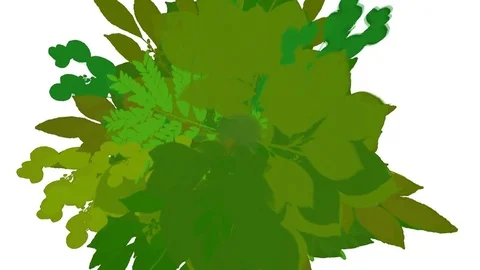Rapidly Growing  Green Leafage -     Video Footage  with Alpha Channel Stock Footage 71950840