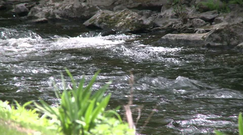 Rapidly moving stream (1 of 5) Stock Footage 32025373