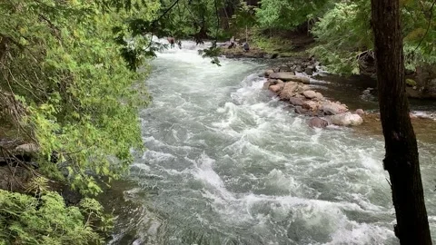 Rapids 1 스톡 동영상 143407290