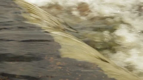 Rapids 20 스톡 동영상 11959742