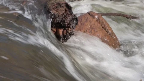 Rapids 3 Stock Footage 79033388