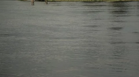 Rapids 9 스톡 동영상 11961982