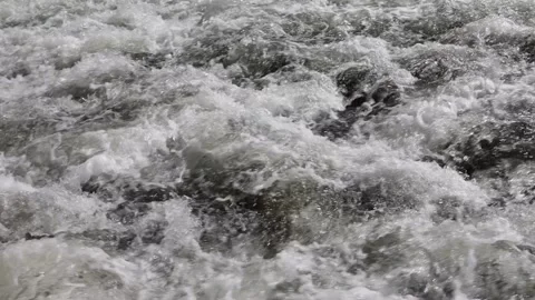 Rapids and water - fast flowing stream of water and foam. Video stock 180163241