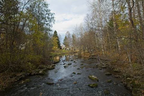 Rapids in autumn. Stock Photos