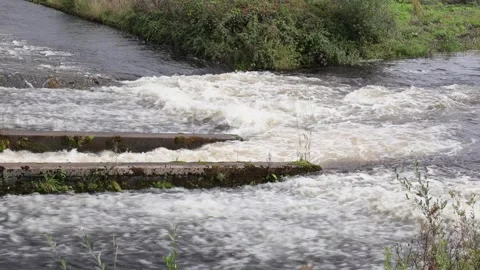 Rapids at the base of an overflowing weir. Autumn. UK Vidéo 345703806