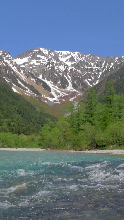 Rapids Below Snow Capped Mountain in Spring Vertical Video Vidéo 346002422