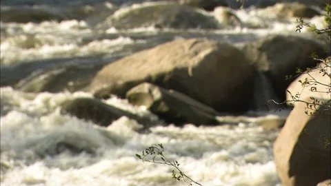 Rapids with boulders rack focus 스톡 동영상 87311086
