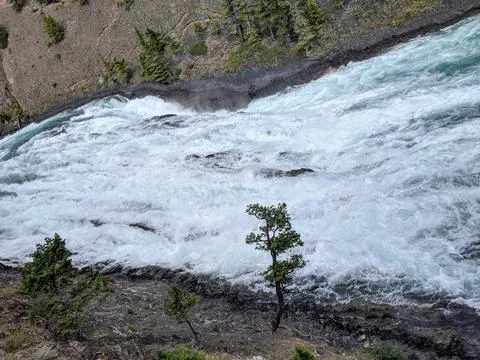 Rapids on the Bow River Slope Downwards in the Valley During Summer Stock Photos