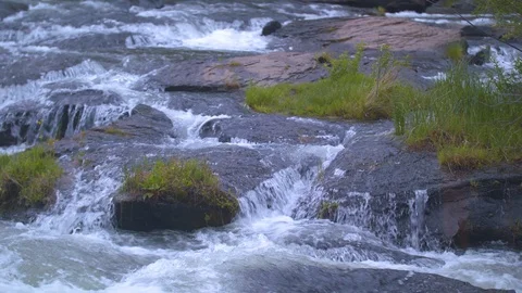 Rapids in the Deschutes Stock Footage 90494001