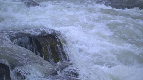 Rapids in the Deschutes Stock Footage 90495734