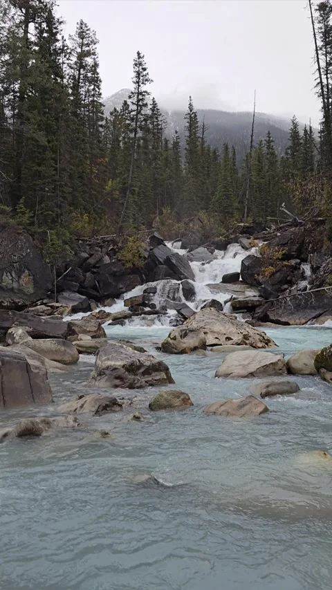 Rapids Falls 動画素材 295897736
