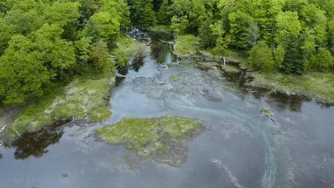 Rapids that flow into a river Aerial Drone Footage Stock Footage 122796295