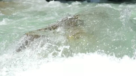 Rapids Video stock 11411299