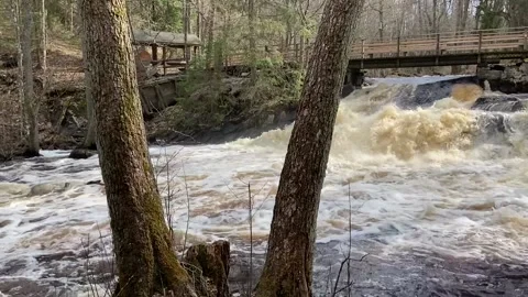 Rapids Stock Footage 191061717