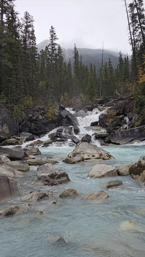 Rapids 動画素材 295897934