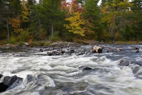 Rapids in the forest Stock Photos