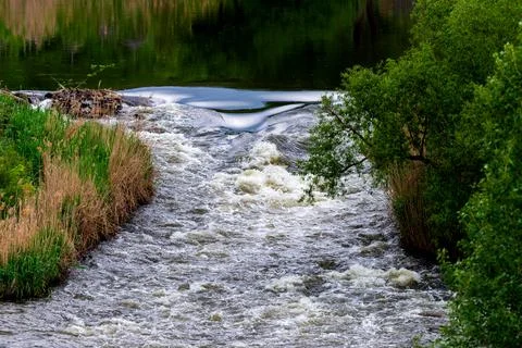 Rapids in forest wild river Stock Photos
