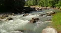 Rapids & large woody debris in mountain stream, turbulent water HD Footage