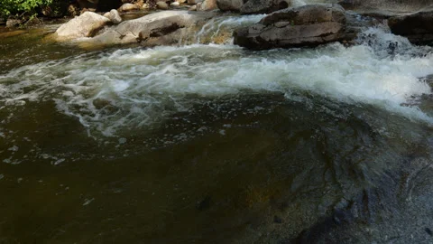 Rapids in The Merced River in the Sierra Nevada Mountains Stock Footage 281936333