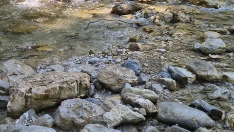 Rapids on a mountain river in the Alps Stock Footage 317400183