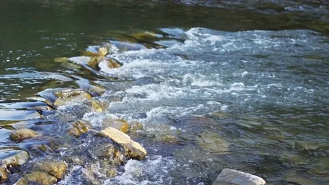 Rapids on a mountain river with clear water. Video with sound 스톡 동영상 141078984