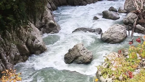 Rapids on a mountain river. River in the mountains. Stock Footage 169654803