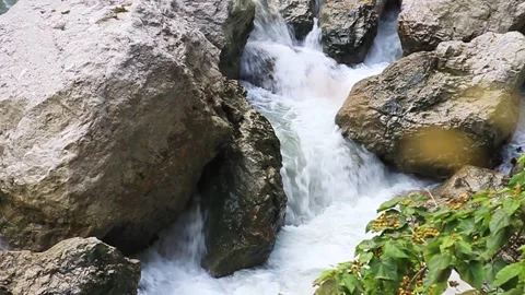 Rapids on a mountain river. River in the mountains. Stock Footage 169654847