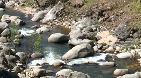 Rapids on mountain river from upstream, boulders and small trees 스톡 동영상 49054357