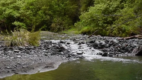 Rapids on mountain stream, Mount Aspiring National Park, New Zealand. Stock Footage 135624236